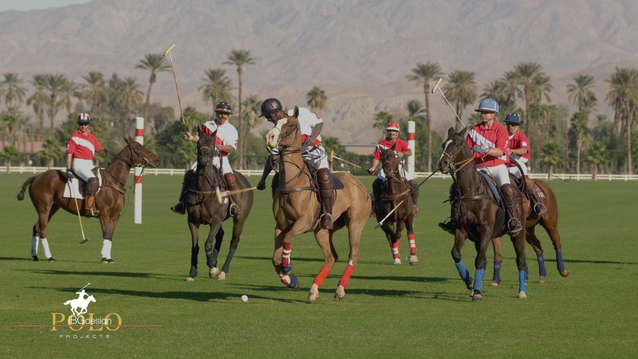 A Complete Beginner to Pro Guide for polo4d