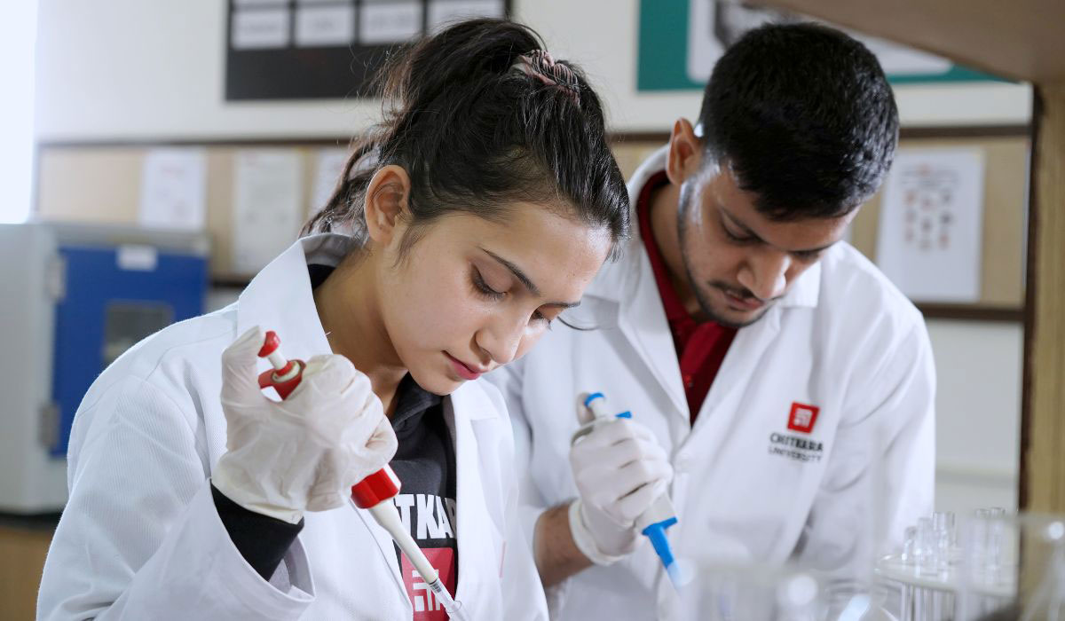 Explore Allied Health Schools to Discover Their Important Role